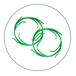 HHBB10A Aquafilter Carbon Mechanical Filter Cartridge