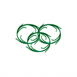 HHBB10B Aquafilter тройний фільтр води big blue 10" | MojaWoda.com