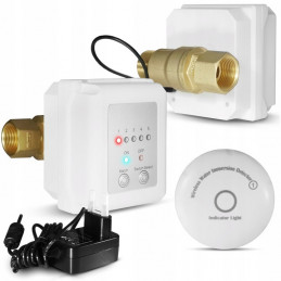 Wireless Flood Detection Sensor