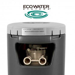 Фільтр вугільний CWFS-WHF EcoWater для всього будинку або квартири | MojaWoda.com