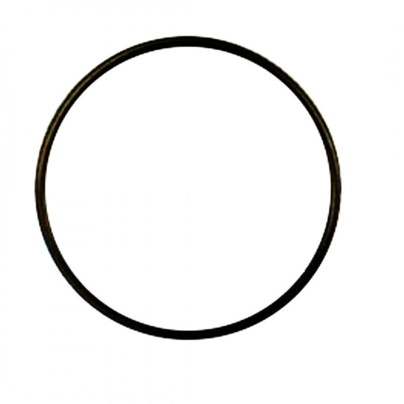 ORING USZCZELKA O-RING DO FILTRA WODY KORPUS 10cal ORING USZCZELKA O-RING DO FILTRA WODY KORPUS 10cal
