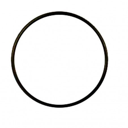 ORING USZCZELKA O-RING DO FILTRA WODY KORPUS 10cal