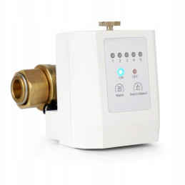 Automatic Anti-Flooding System Water Shut-Off Valve 1" | MojaWoda.com
