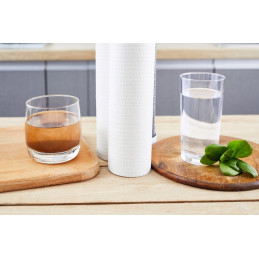 FCPS10 WodaRO foam insert water filter 10 microns | MojaWoda.com