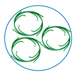 Filtr 3stupňový mechanický odželezňující uhlíkový | MojaWoda.com