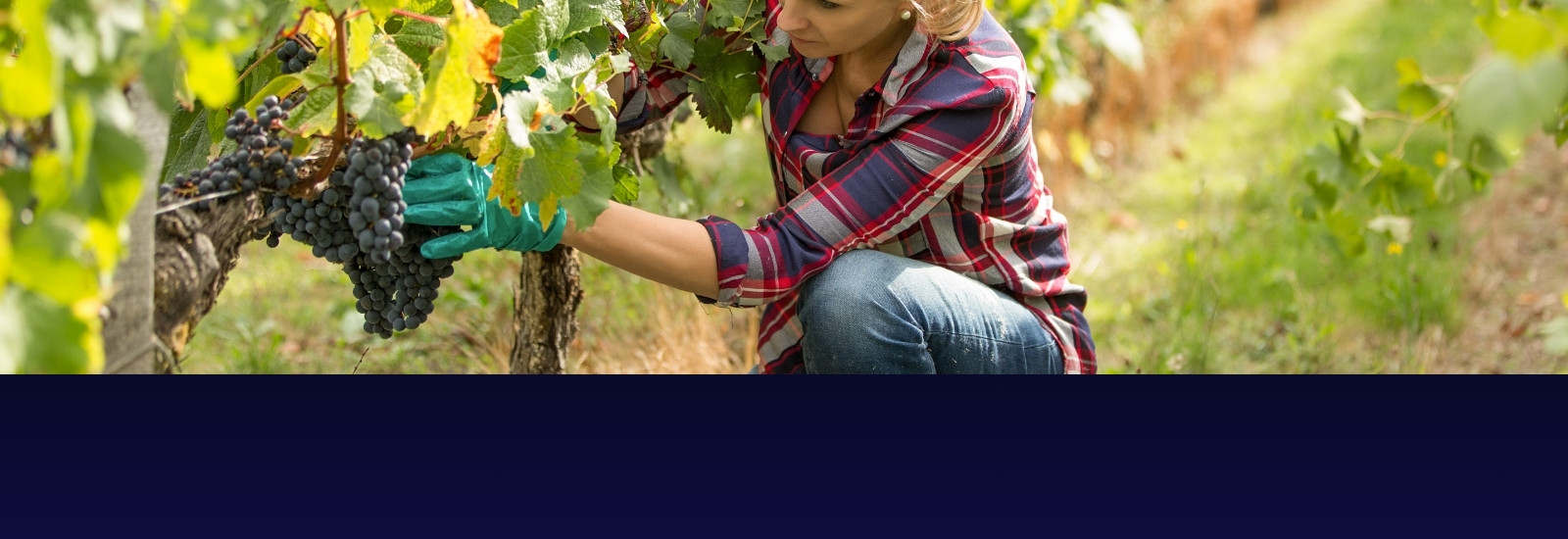 Infografika — uzdatnianie wody