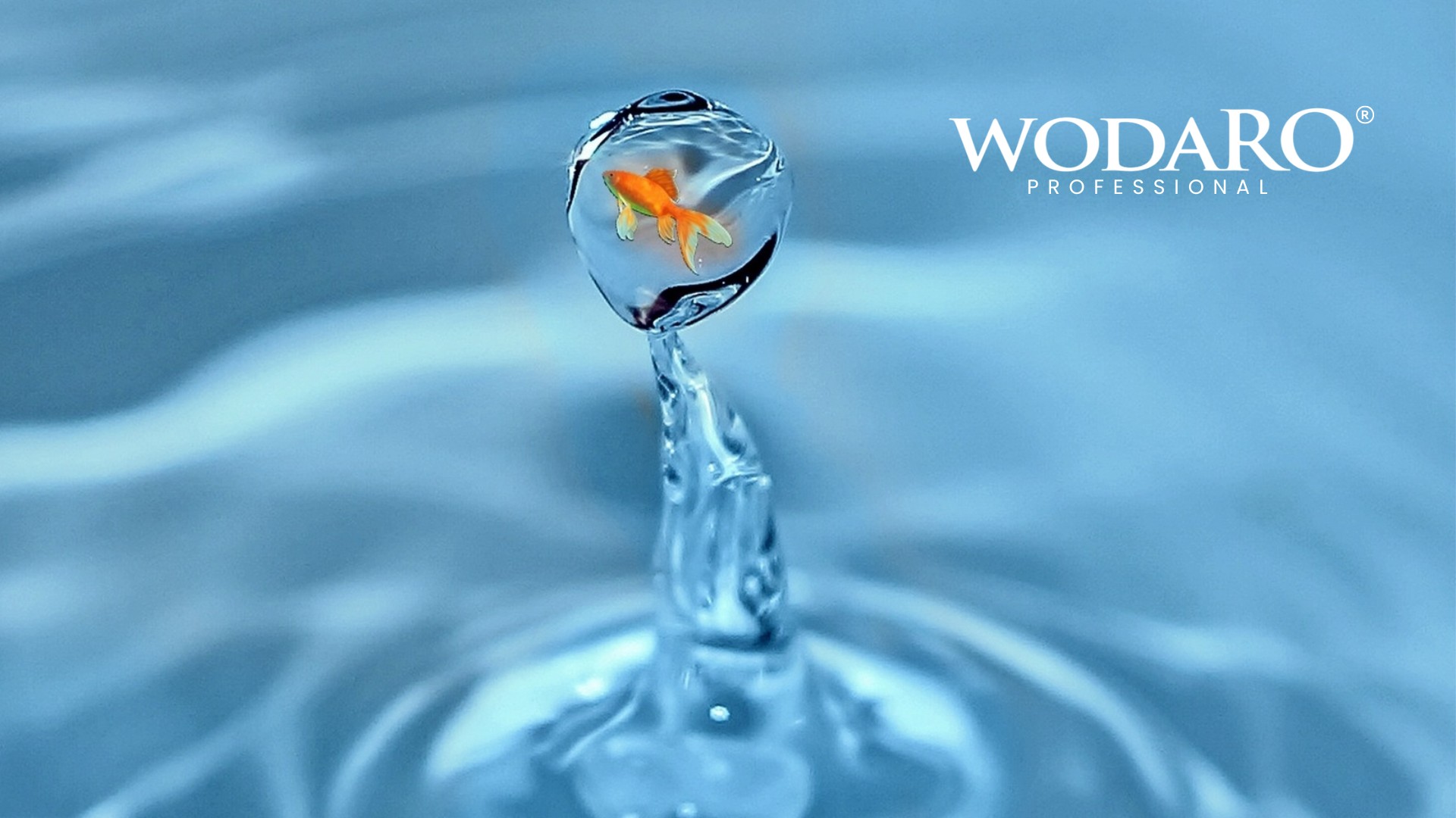 Gęstość wody: od czego zależy, wpływ temperatury i anomalie