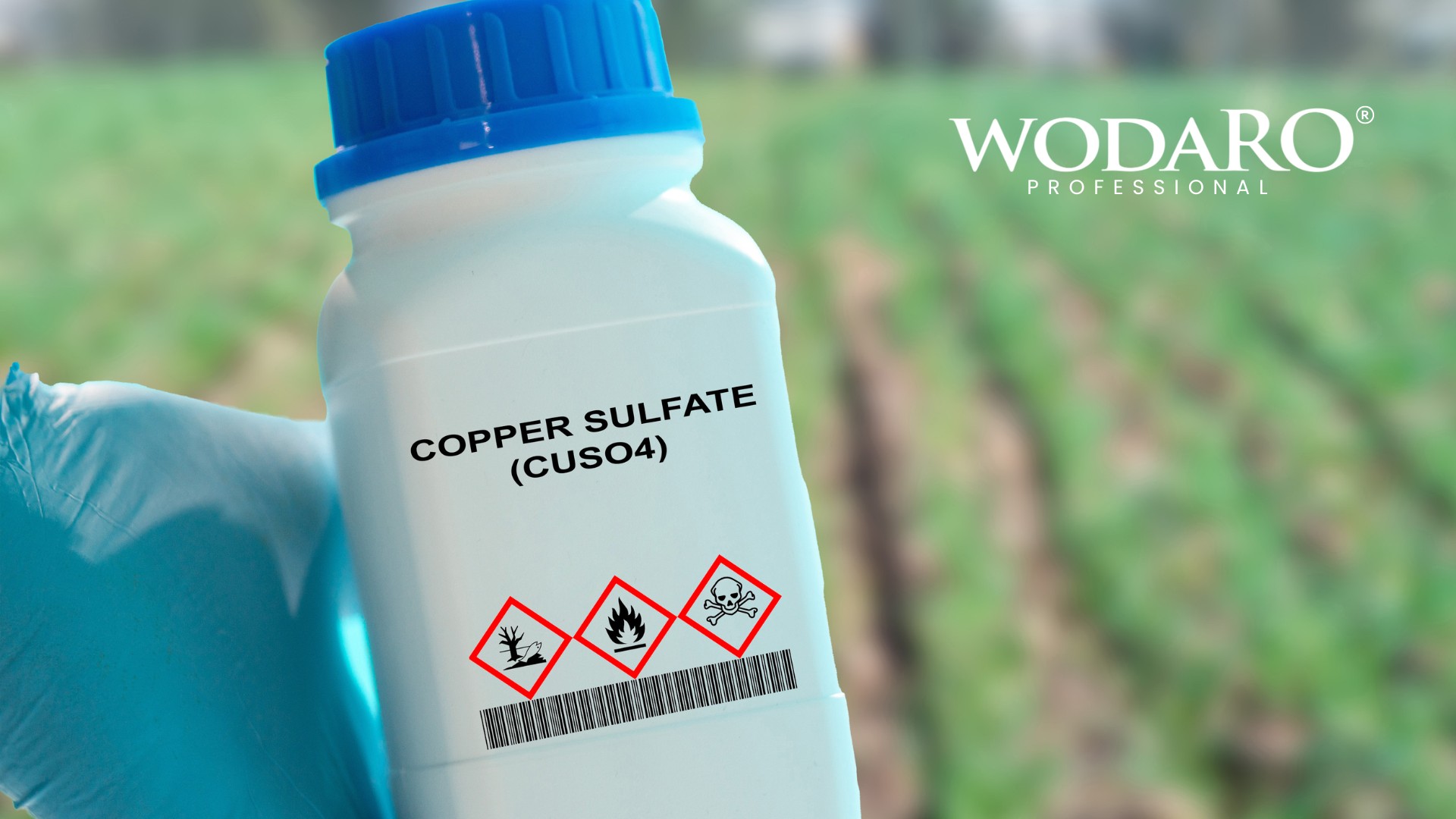 Związki organiczne w wodzie – szkodliwość, usuwanie i skąd się biorą?