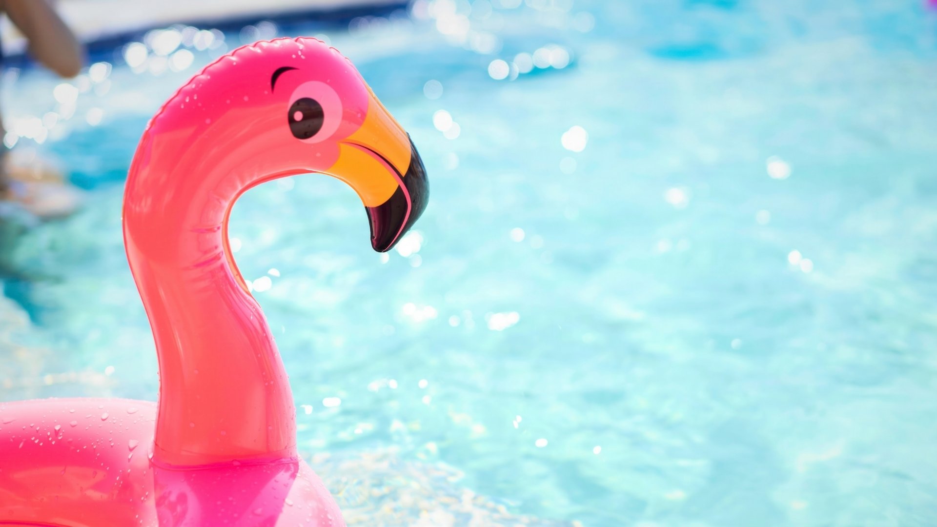 What Pool Chemicals Do You Need? What to Buy to Get Started